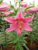 [5338 Glendale VH No01.JPG]